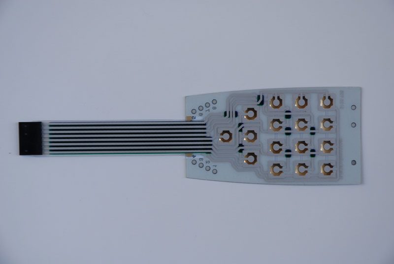 elasmata1
